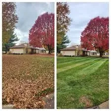 Before and after images of a yard after a thorough fall clean-up