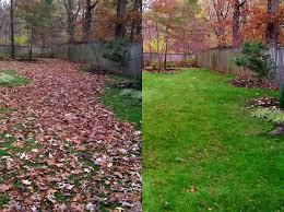 Before and after images of a yard after a thorough fall clean-up