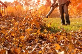 Professional landscaper performing fall clean-up on a garden be