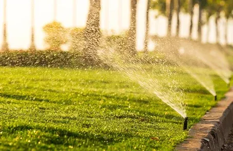 Irrigation system maintenance for optimal lawn care