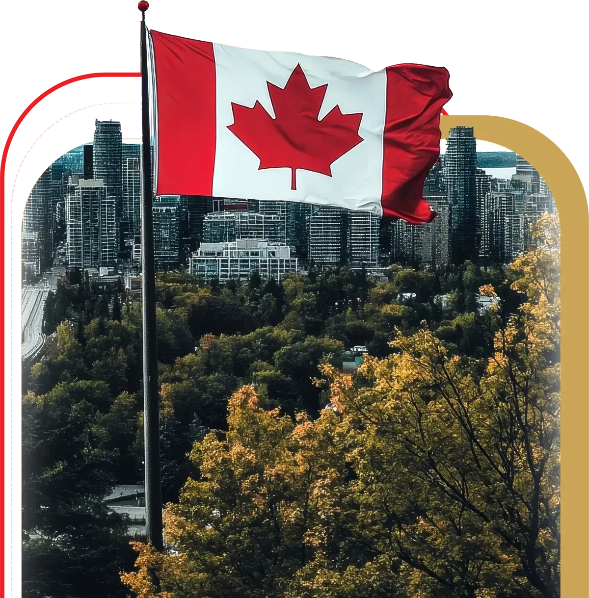 sen law Canadian Immigration Law 
