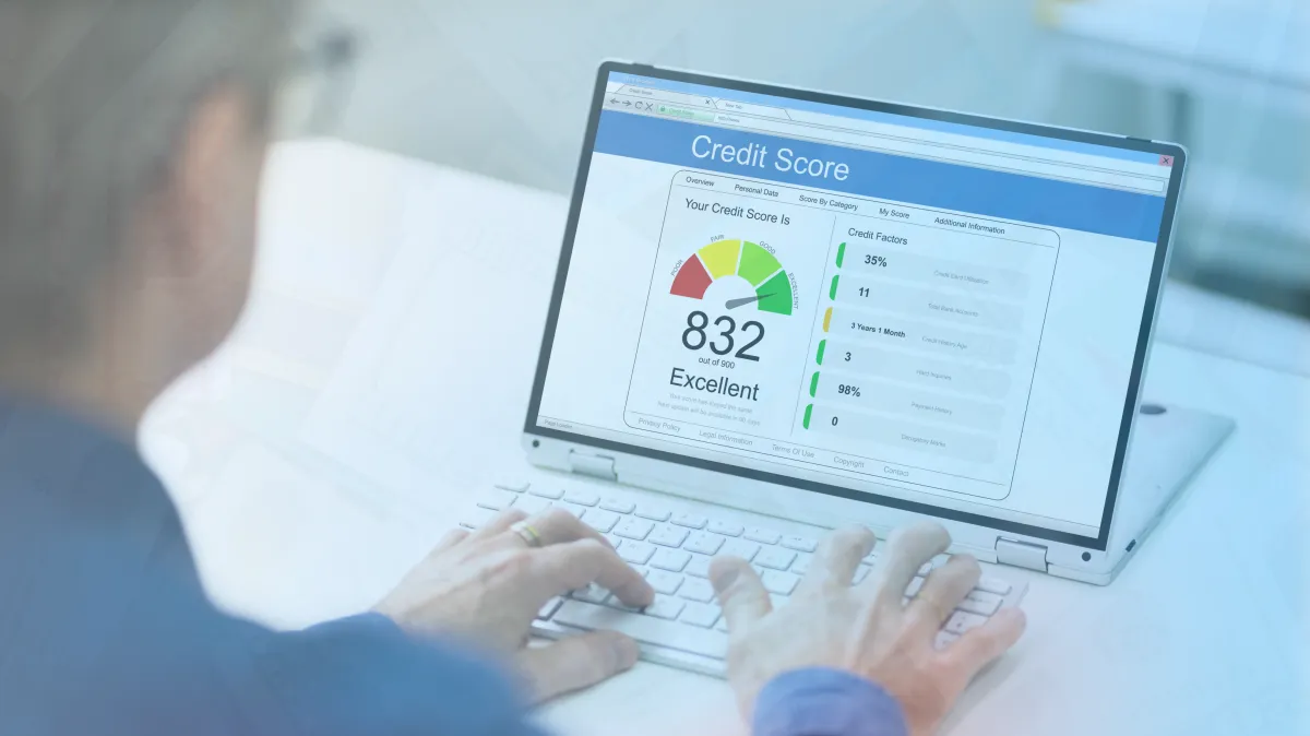 improve your credit score diy