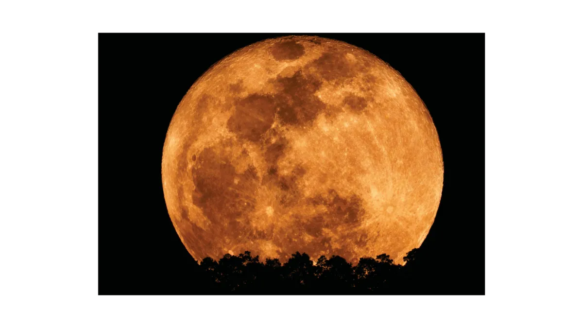 Full moon — lunar rhythm