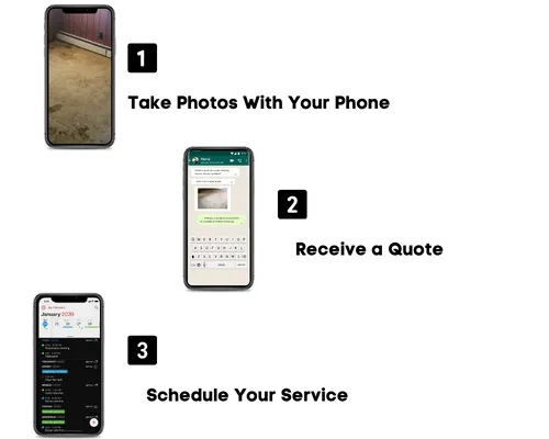 Carpet Cleaning + Bakersfield