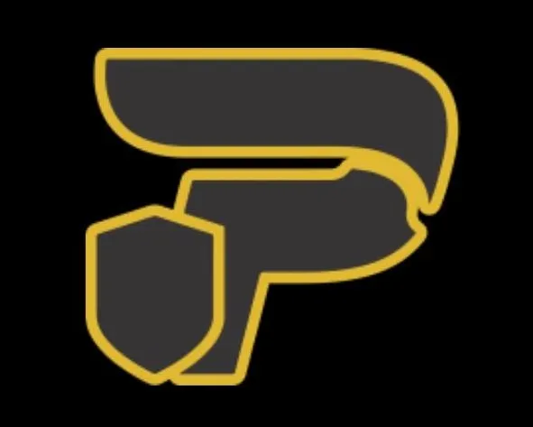 Platinum Plumbin Logo