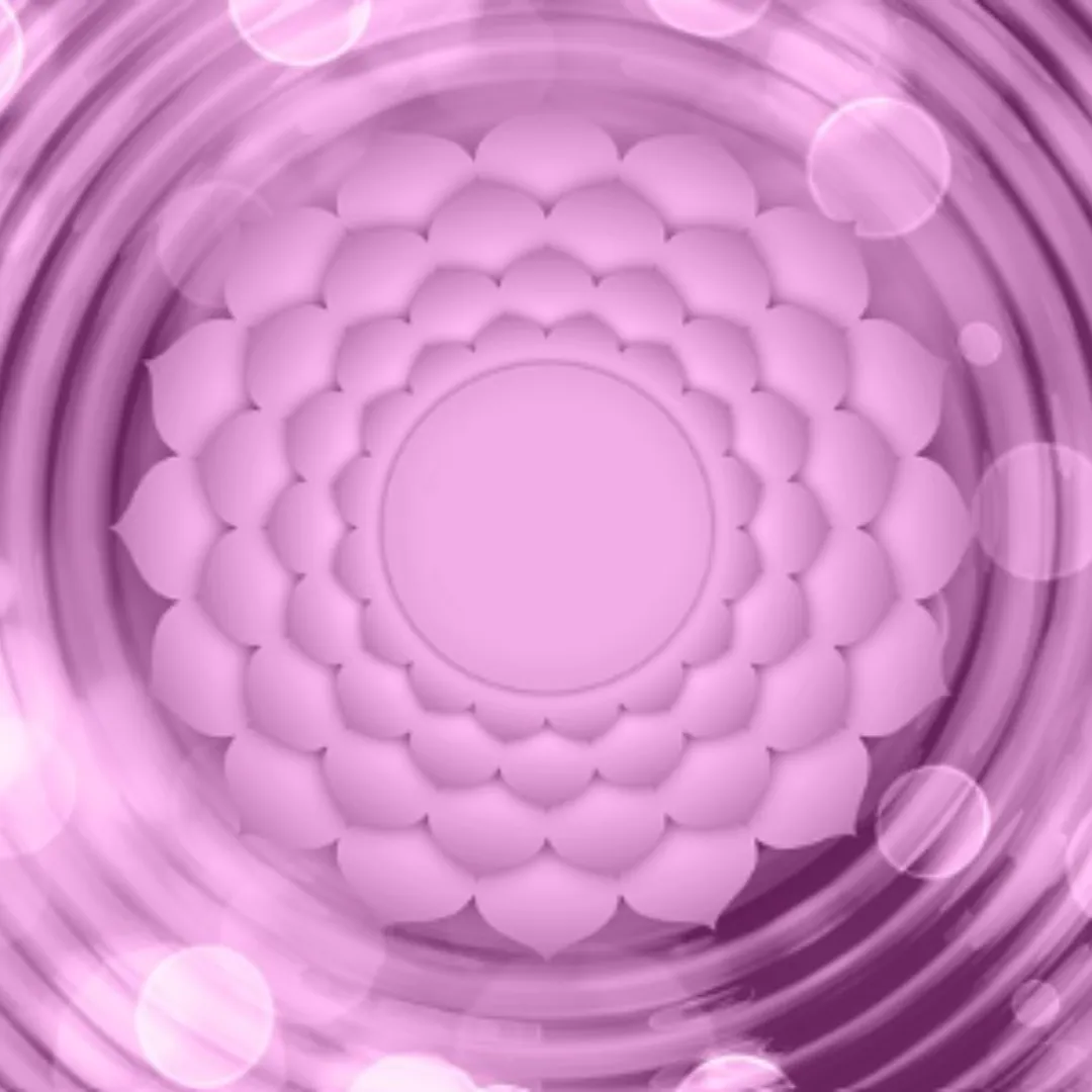 concentric circles meredians