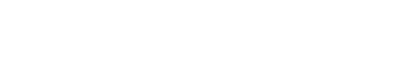 Business Partners logo