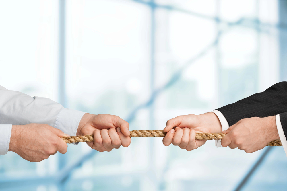 Holding It Together: The Board and CEO Relationship at the Heart of For-Purpose Leadership