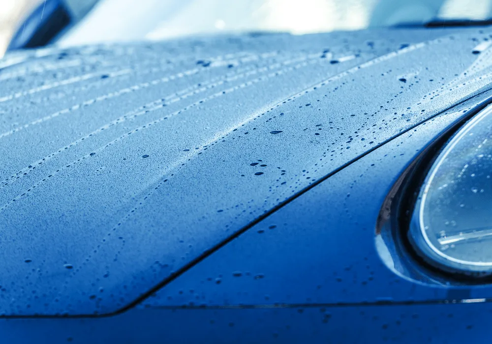 Paint Protection Film vs Ceramic Coating: Why Customers Choose One Over the Other