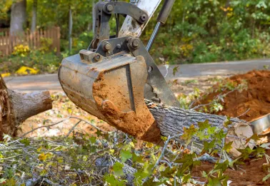 Heavy machinery clearing a large plot of land, demonstrating professional land and lot clearing services.