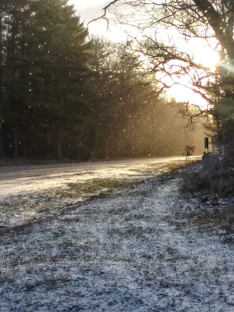 What Is It Like to Live in the White Lake Area Year-Round