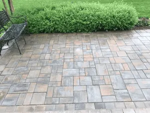 {{ custom_values.service_1 }} in {{custom_values.area_2})