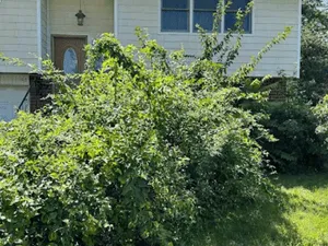 {{ custom_values.service_2 }} in {{custom_values.area_4})