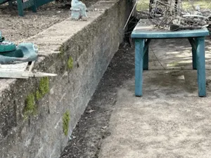 {{ custom_values.service_2 }} in {{custom_values.area_6})