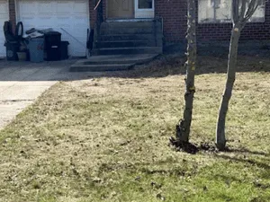 {{ custom_values.service_1 }} in {{custom_values.area_6})