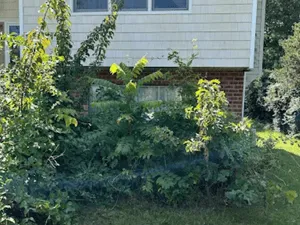 {{ custom_values.service_4 }} in {{custom_values.area_6})