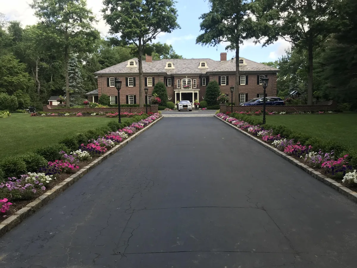 Plantings in Melville