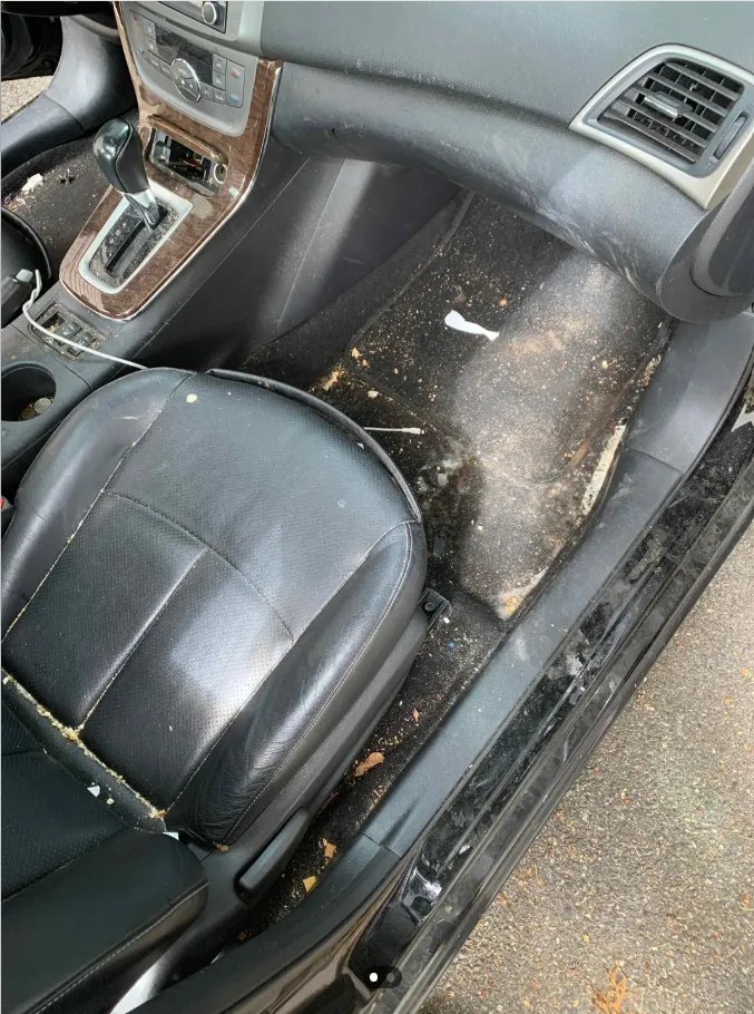 Example of a heavily soiled interior that qualifies for the Extra Care Surcharge