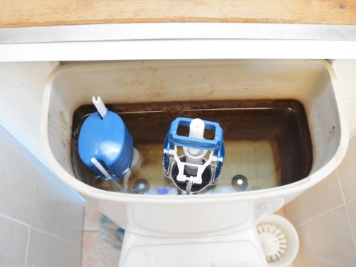Toilet Replacements in East Provinence