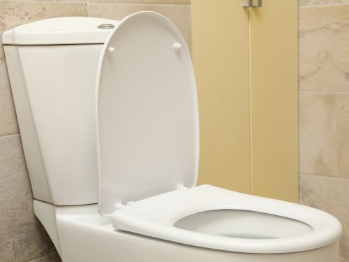 Providence Toilet Replacements