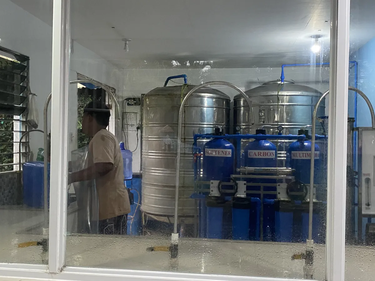 green trees beside lake under blue sky during daytime