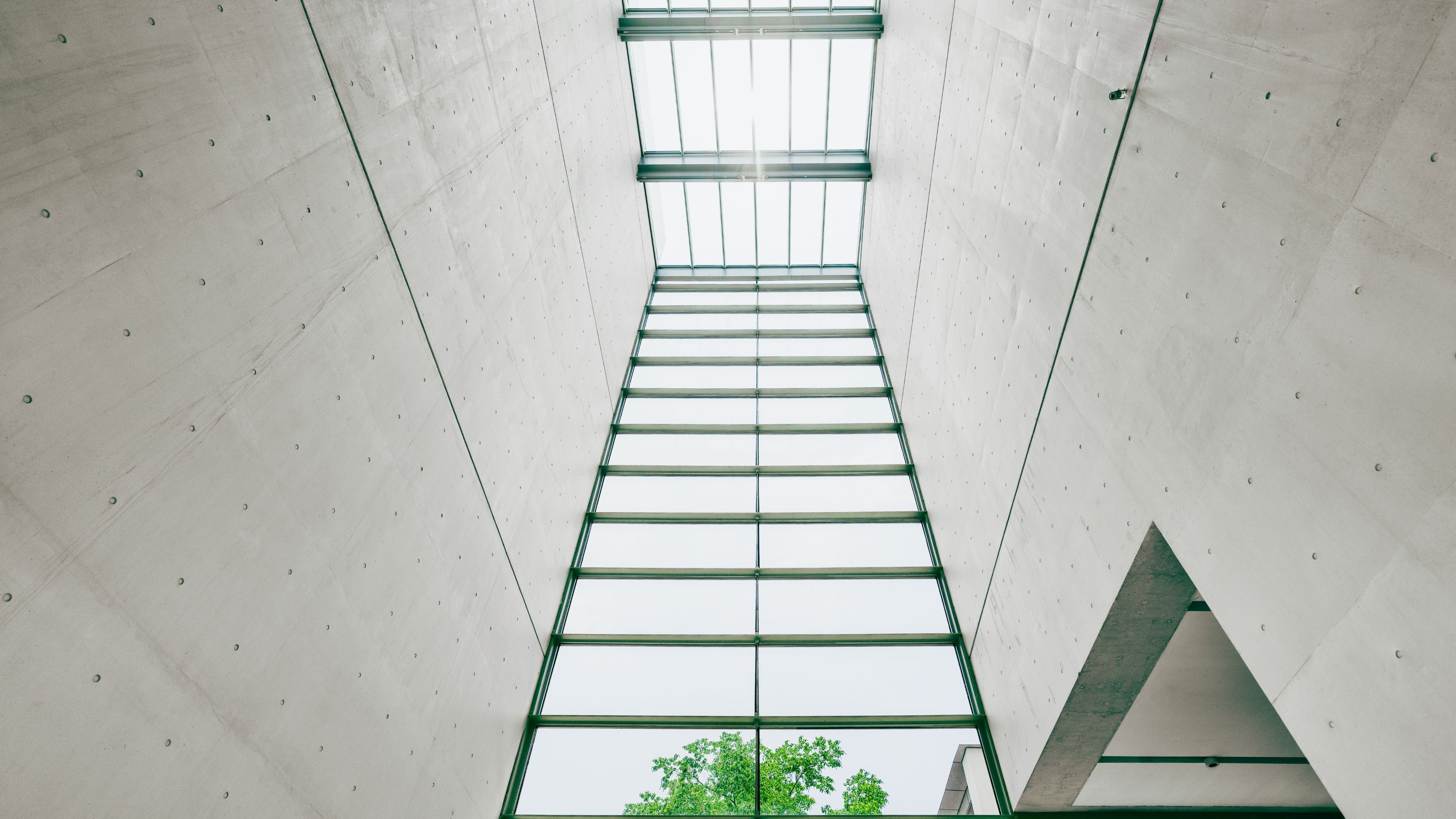Mature professional woman on laptop in modern conference room.