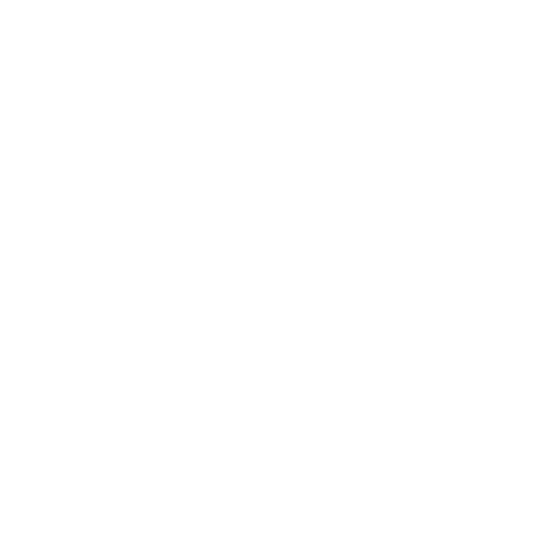 Niche in a Box Brand Logo