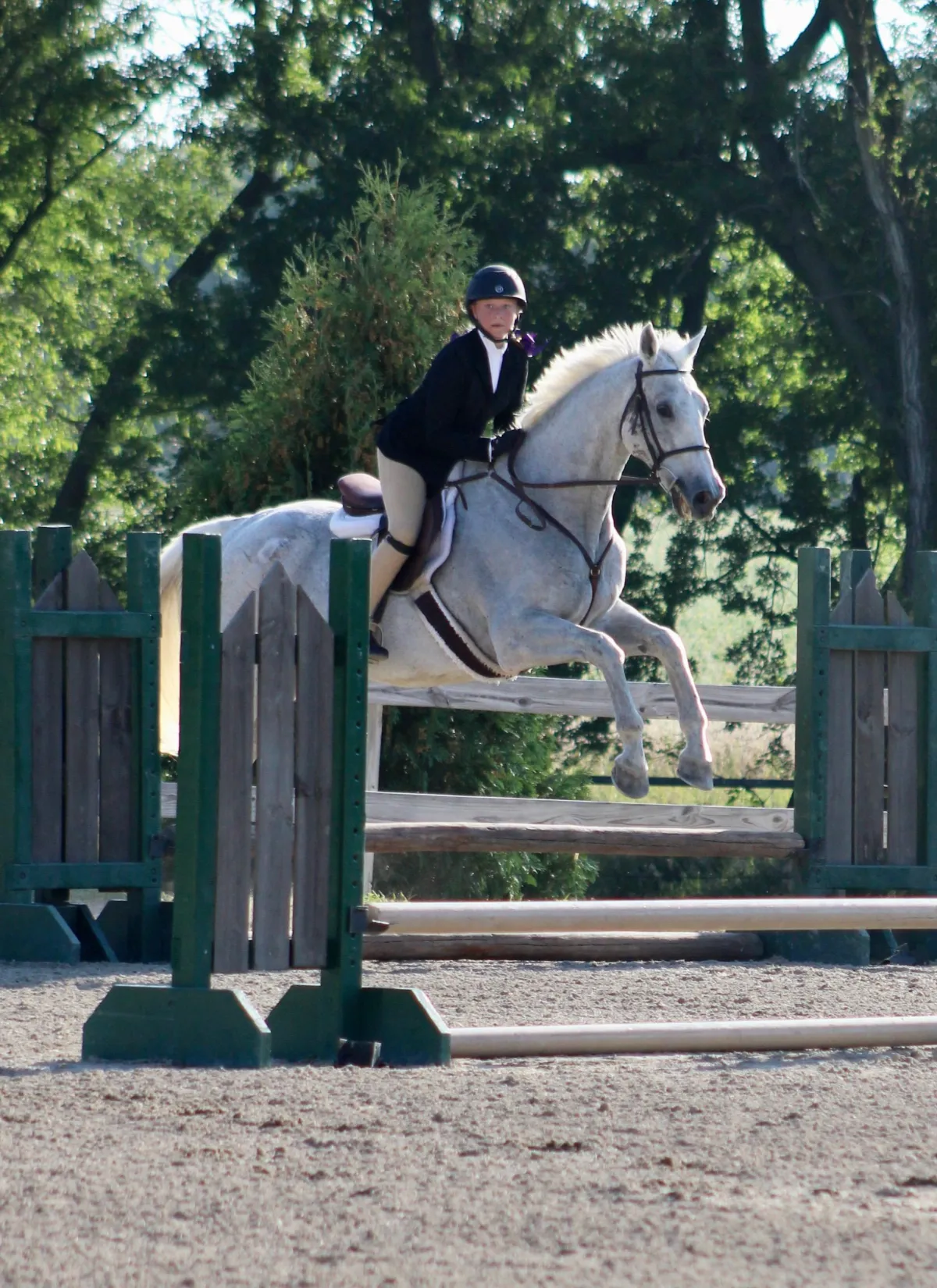 Horseback Riding Lessons in Omaha, NE | Ashley Mason Equestrian