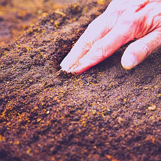 Affordable+landscaping+North+Battleford+Best+lawn-care+overseeding