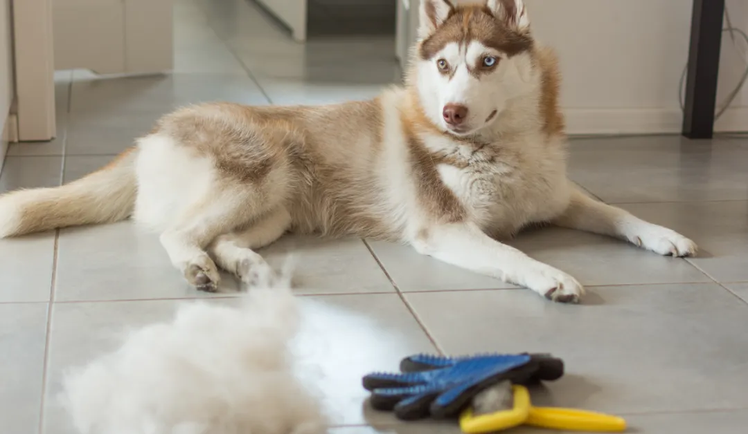 De shedding and treatments