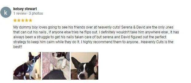 what customers says about heavenly cuts dog grooming and boarding review