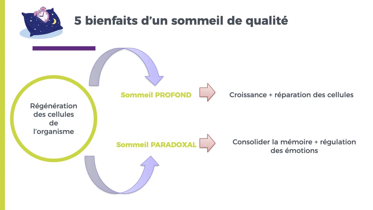 Conférence Wake Up Sommeil Réparateur