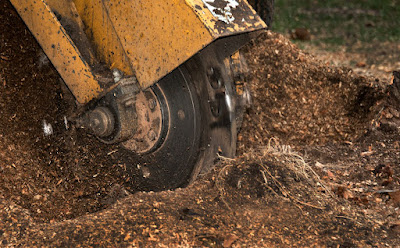 Stump Grinding and Removal