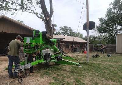 Professional Tree Removal Services