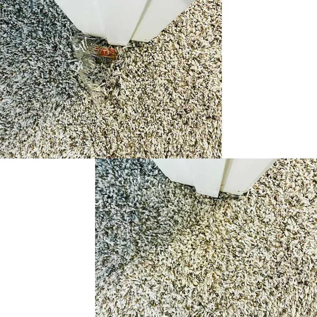Carpet Cleaning San Antonio, TX