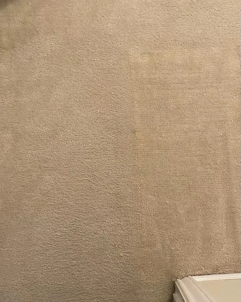 Carpet Stretching in San Antonio, TX