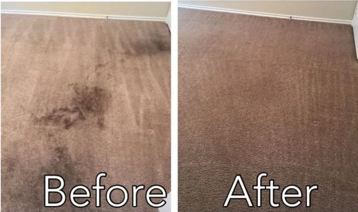 Carpet Repair San Antonio, TX