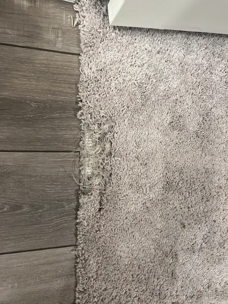 Carpet Stretching in San Antonio, TX