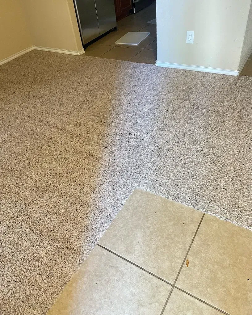Couch Cleaning San Antonio, TX