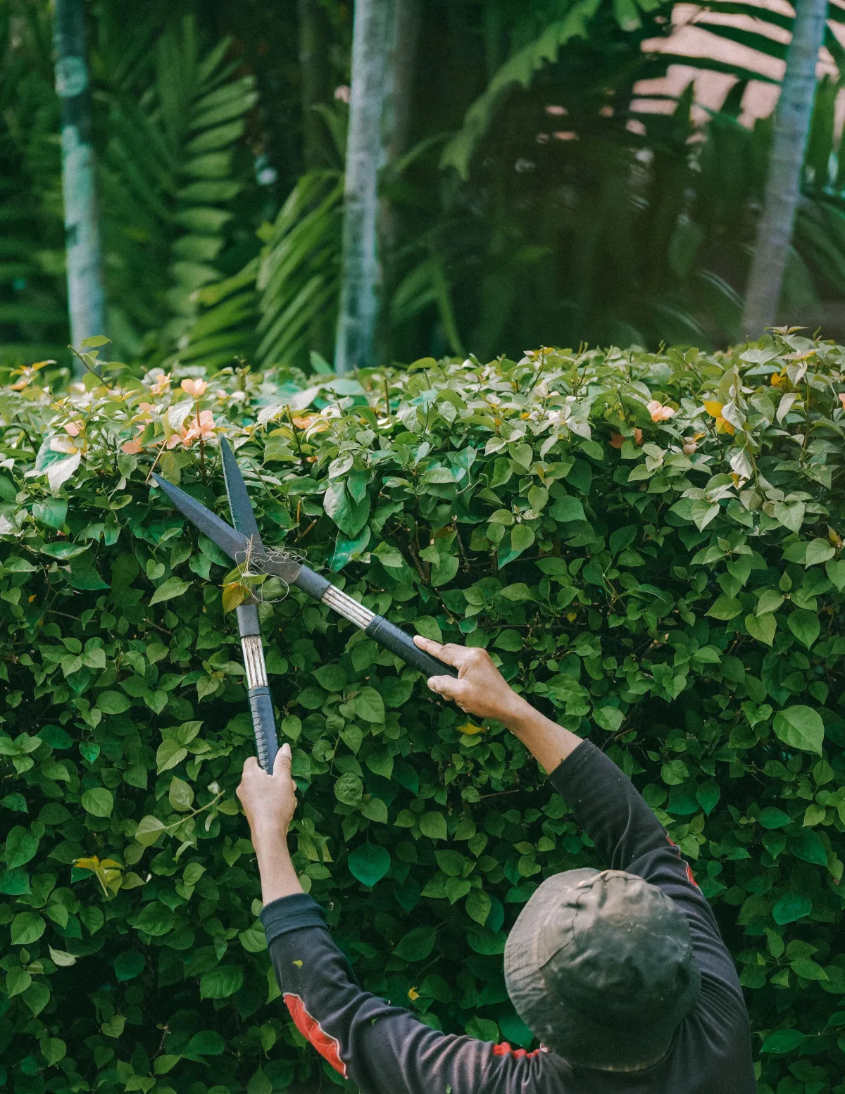 Hardscaping