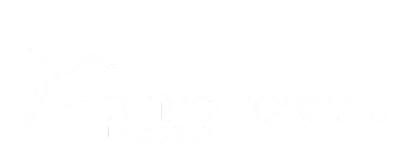 Flying Colours Leadership