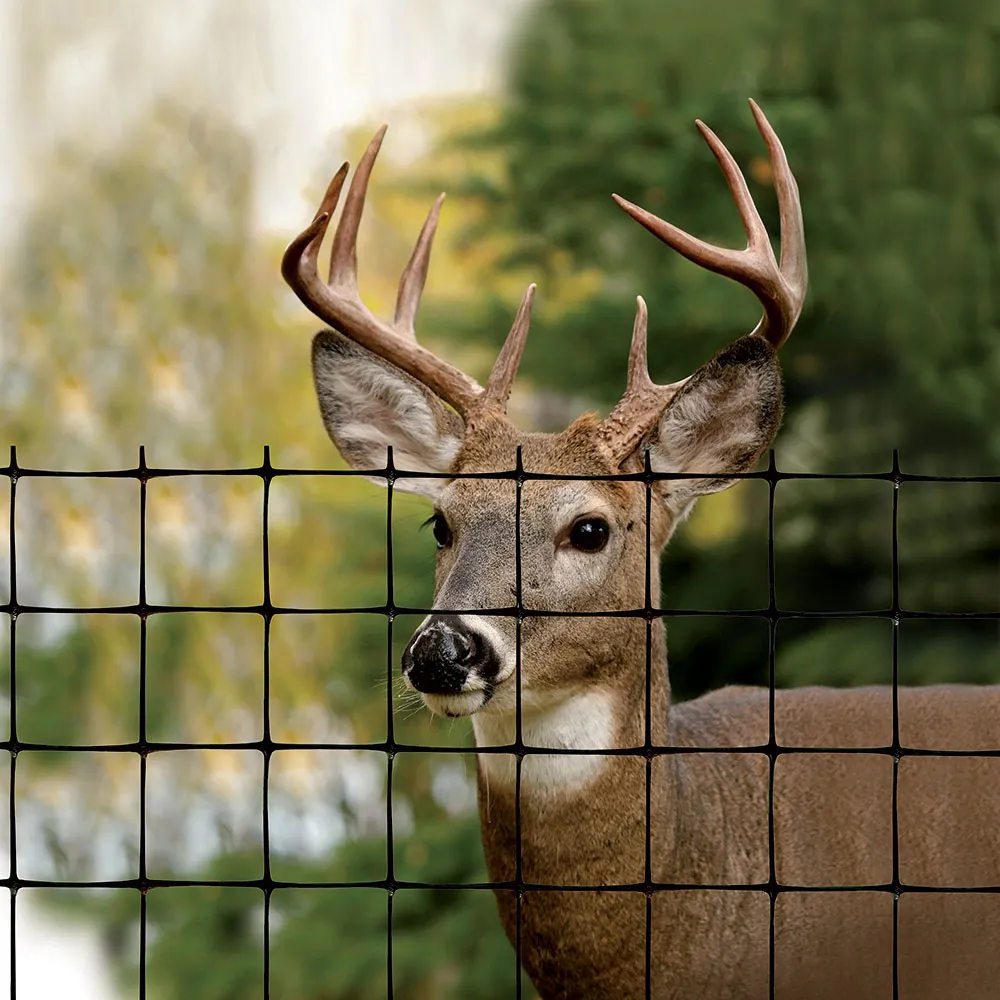 best deer fence