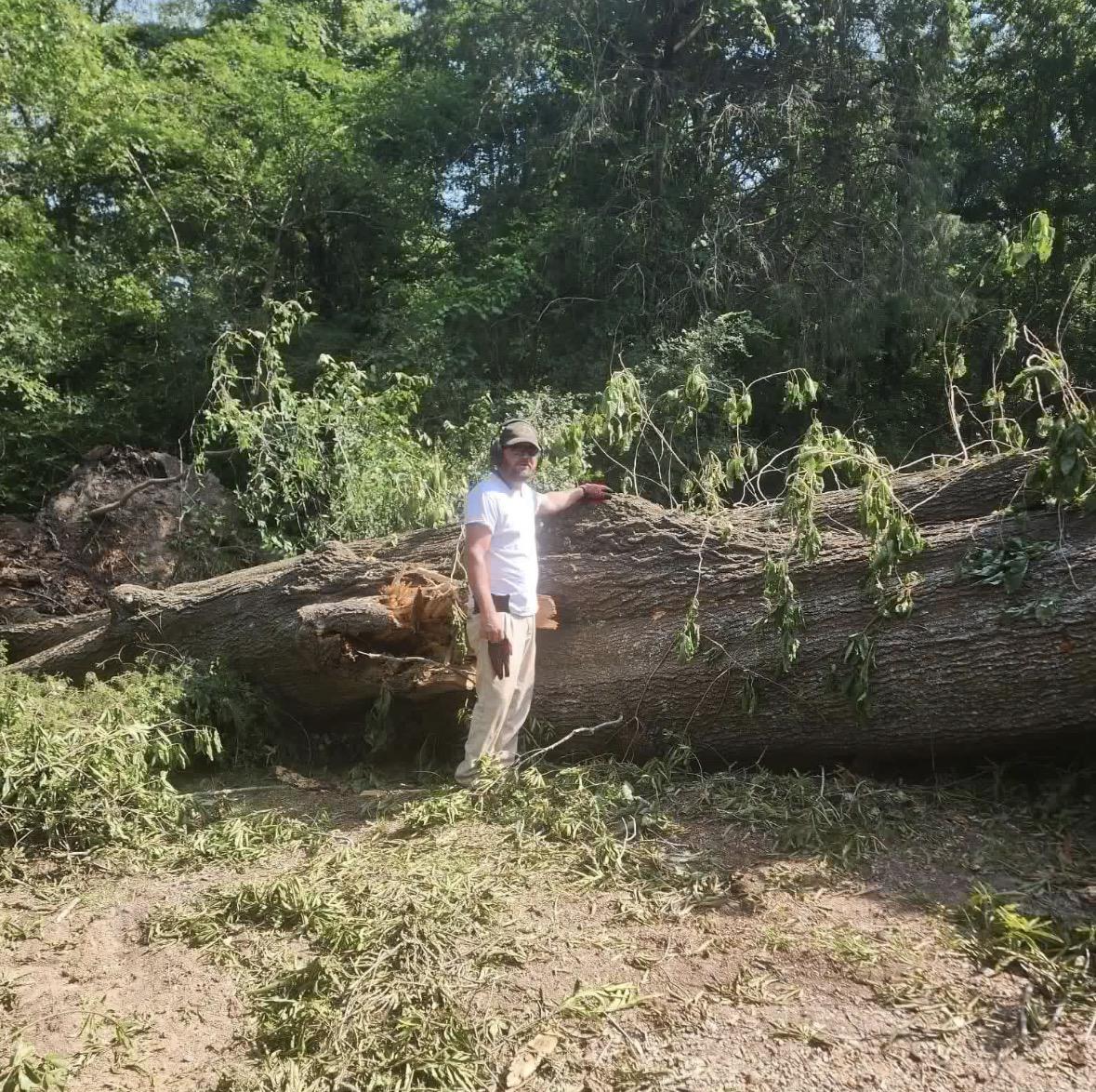 Stump Grinding Lake Ocnee Area