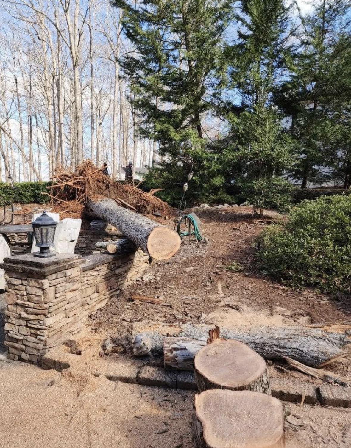 Tree Trimming Lake Ocnee Area