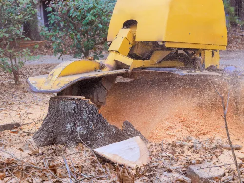 Greene Stump Grinding