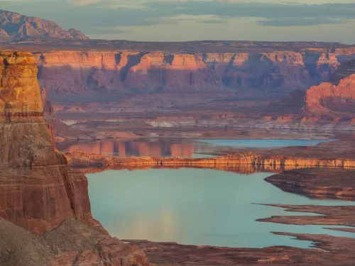 Lake Ocnee Area Tree Removal