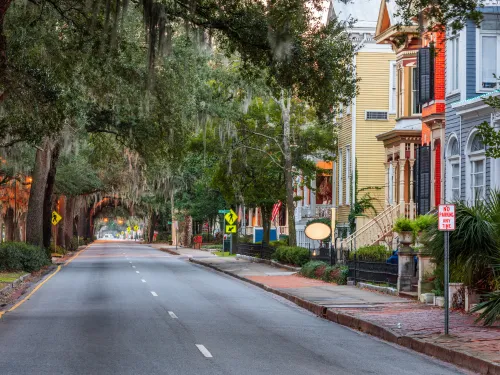 Putnam Stump Grinding