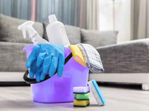  Move-In / Move-Out Cleaning