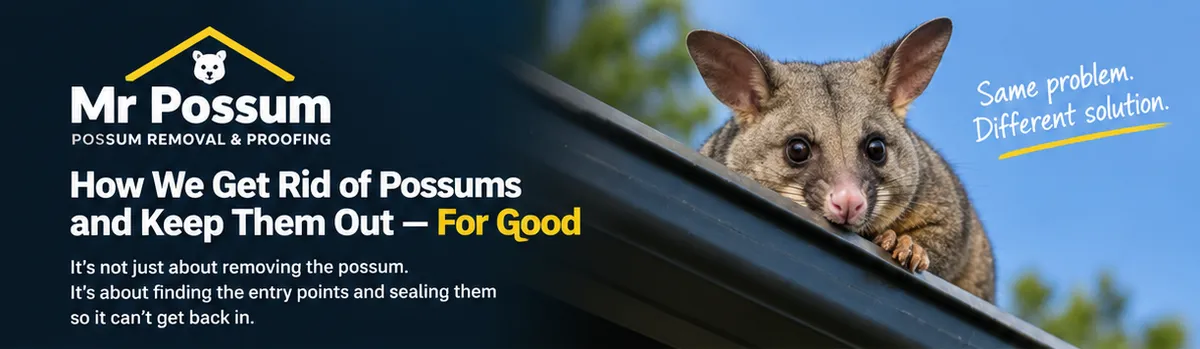 possum proofing process mr possum