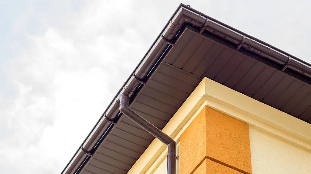 gutter clean Christchurch, nz